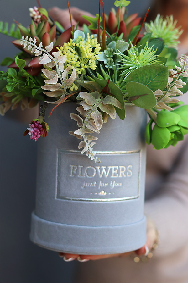 Albertina Mini, welurowy flowerbox z sukulentami, wys.24cm